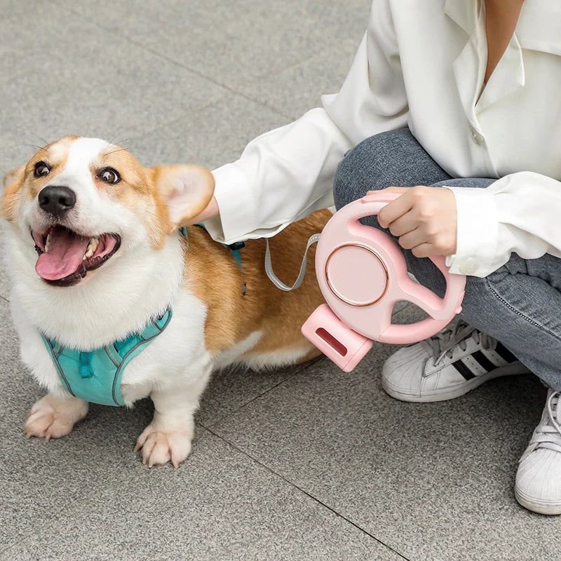 Smart Extendable Pet Leash with LED Lights