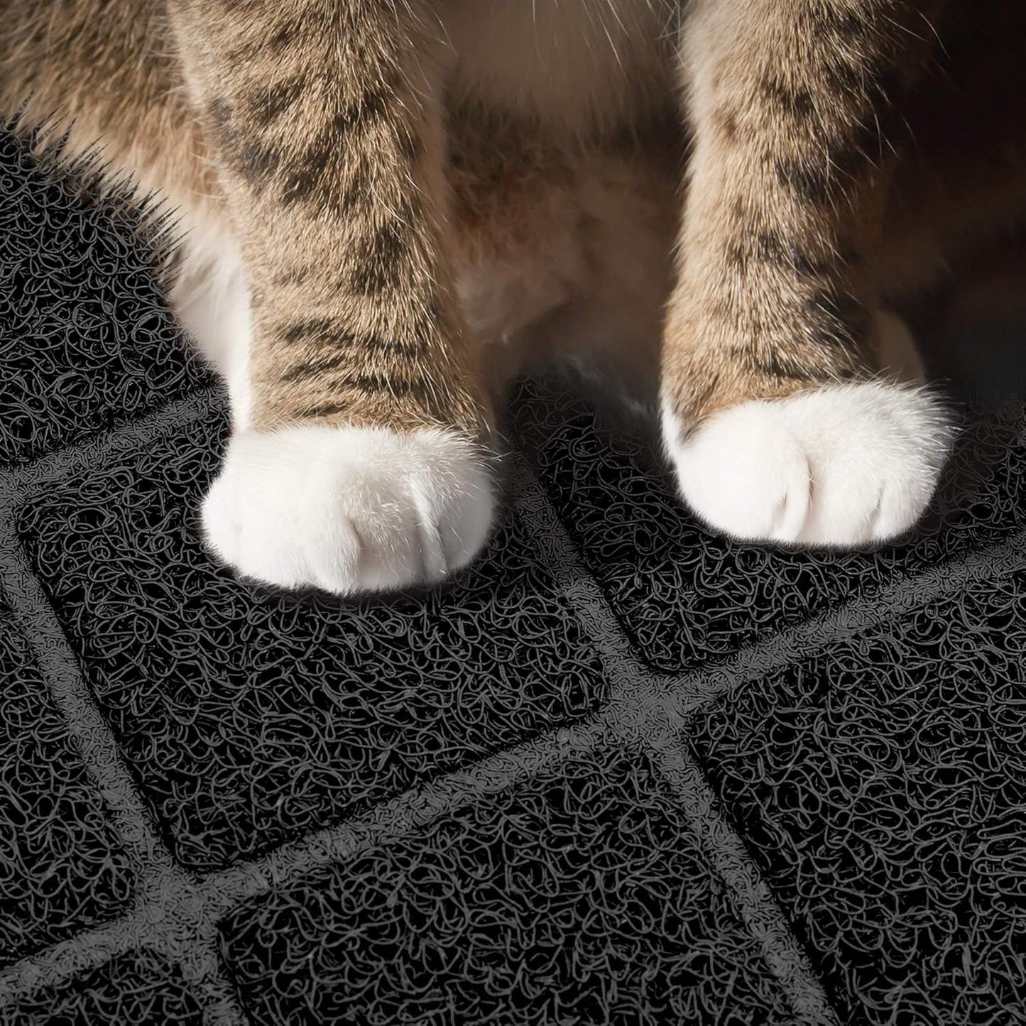 Premium Cat Litter Mat, Litter Box Mat with Non-Slip and Waterproof Backing, Litter Trapping Mat Soft on Kitty Paws and Easy to Clean, Cat Mat Traps Litter from Box